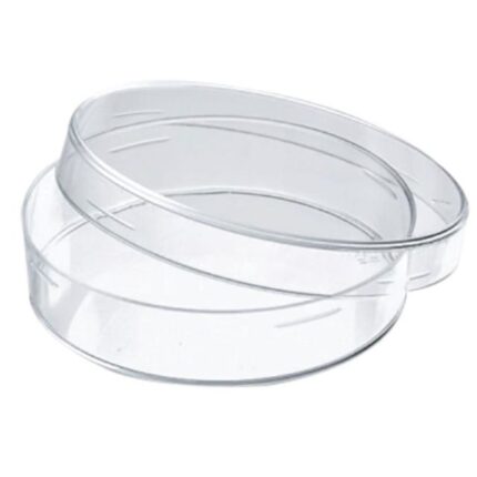 Transparent Glass Petri Dish – Medium