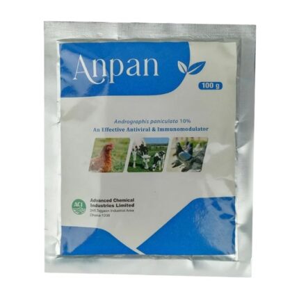 Anpan 100gm