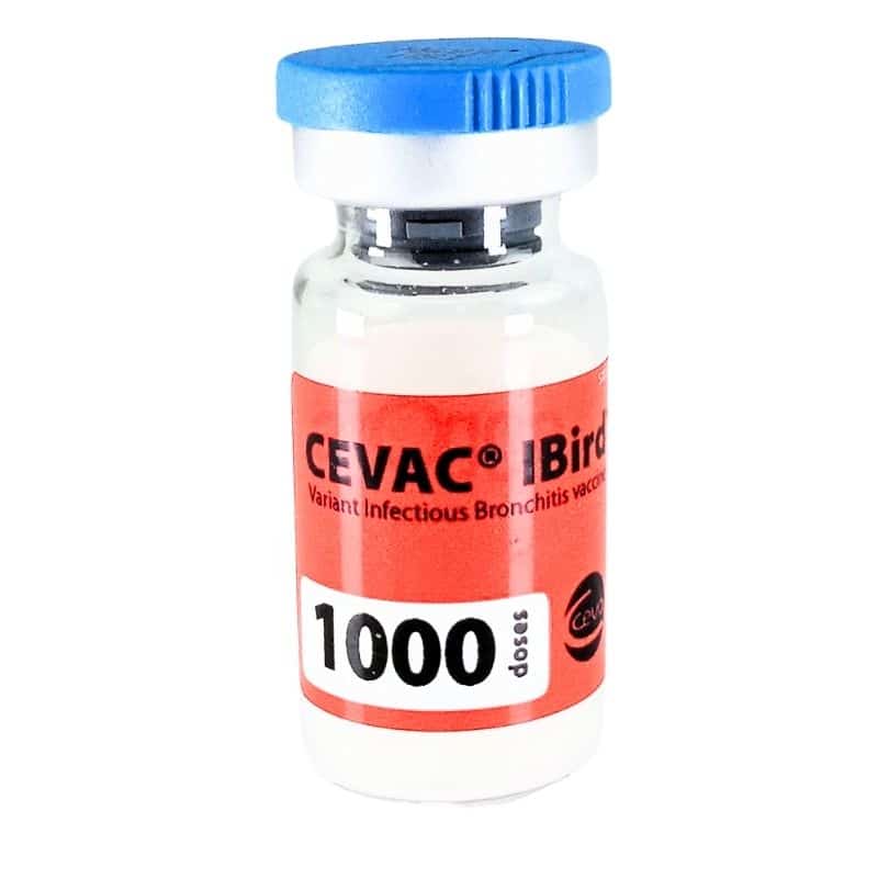 Cevac IBird 1000d Cevac IBird 1000d