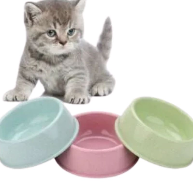 Cat Bowl Cat Bowl