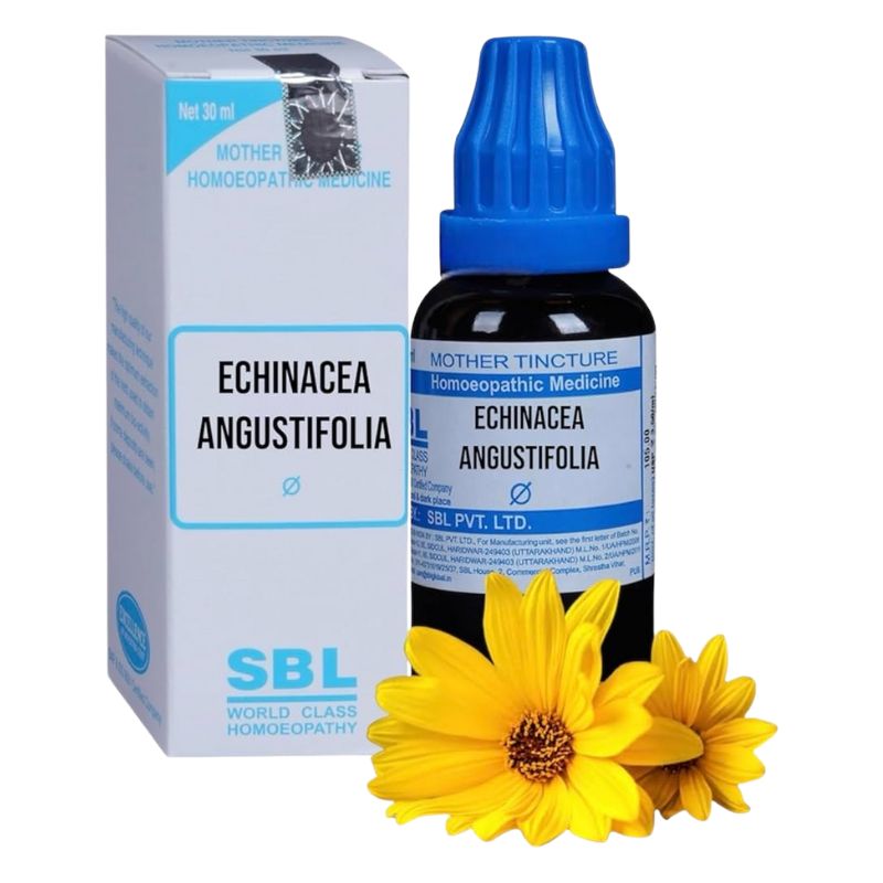 Echinacea Angustifolia-Q 500ml (Zoha) Echinacea Angustifolia-Q 500ml (Zoha)