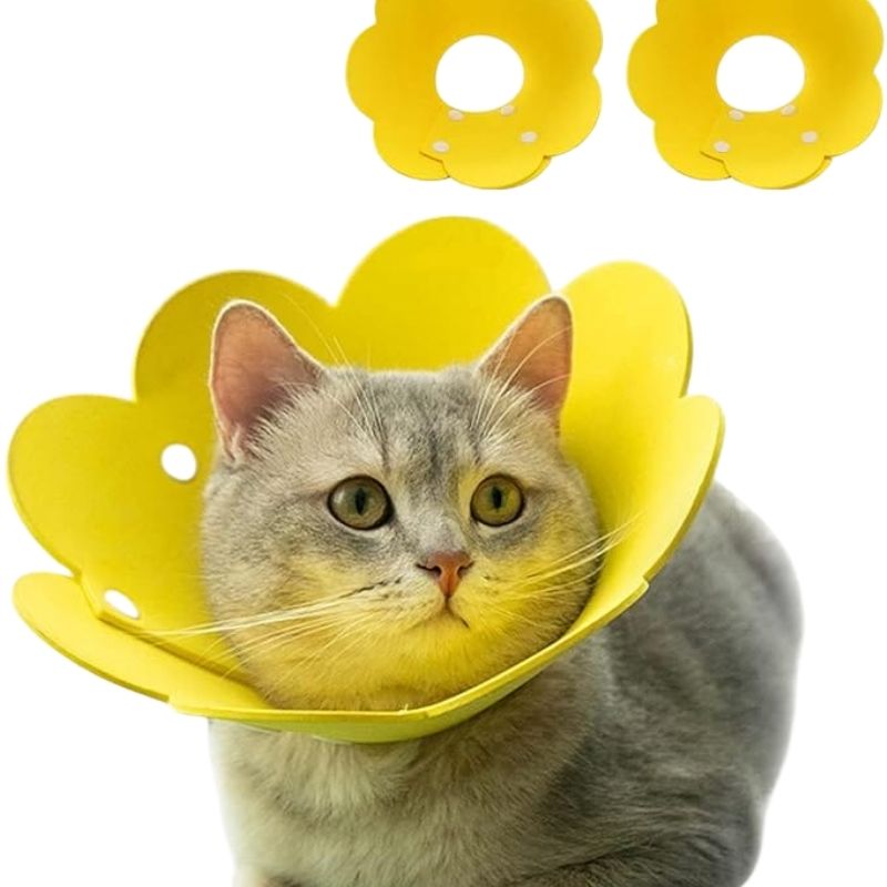 Sunflower Elizabeth Collar Sunflower Elizabeth Collar