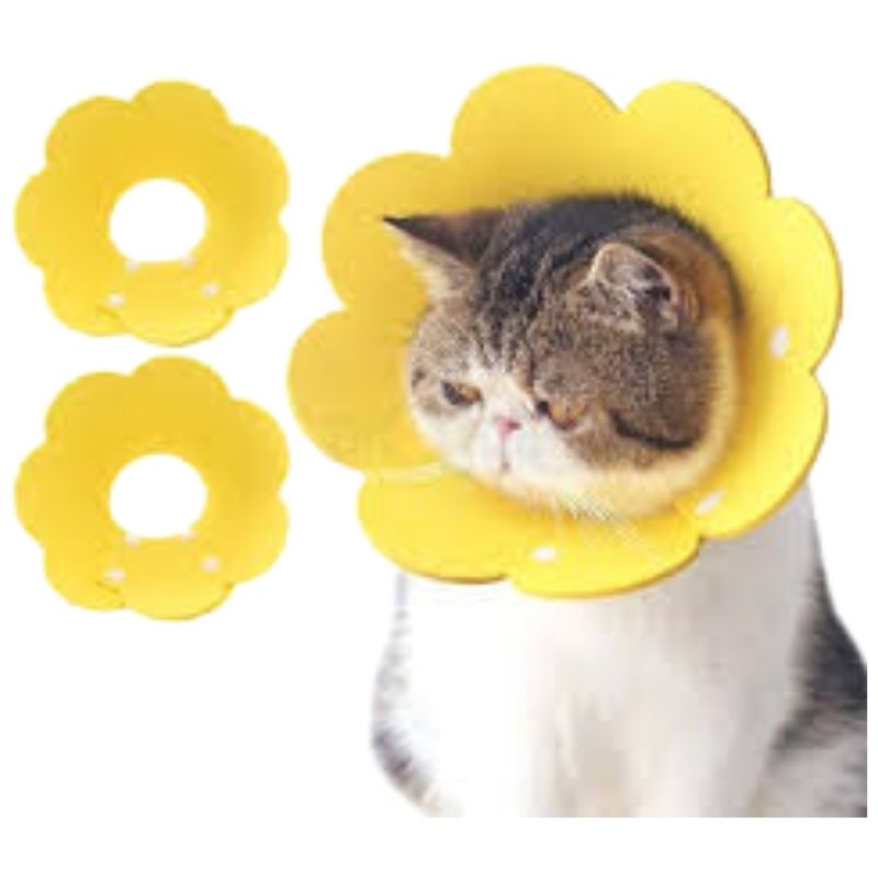 Sunflower Shape Colorful Adjustable Ecollar Sunflower Shape Colorful Adjustable Ecollar