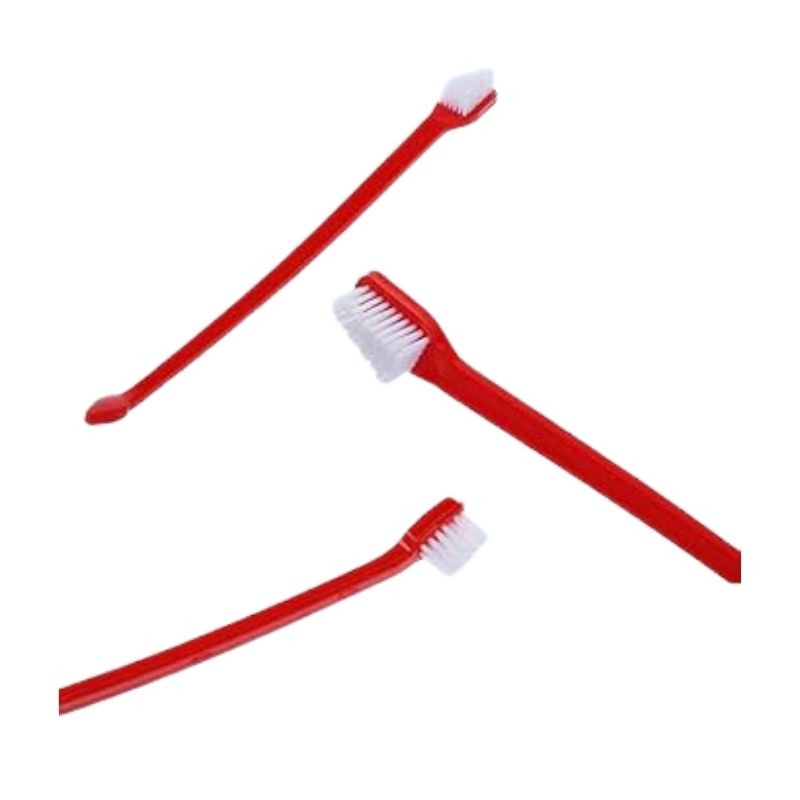 Toothbrush single Toothbrush single