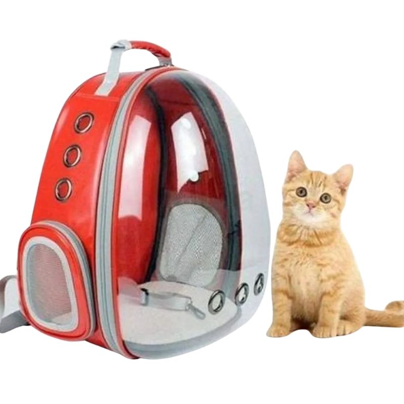 Transparent Cartoon Carry Bag Transparent Cartoon Carry Bag