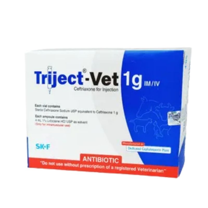 Triject-Vet 1gm IM_IV Triject-Vet 1gm IM/IV