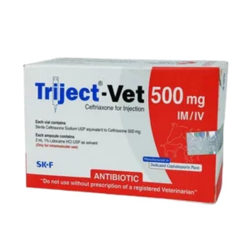 Triject-Vet 500mg IM_IV Triject-Vet 500mg IM/IV