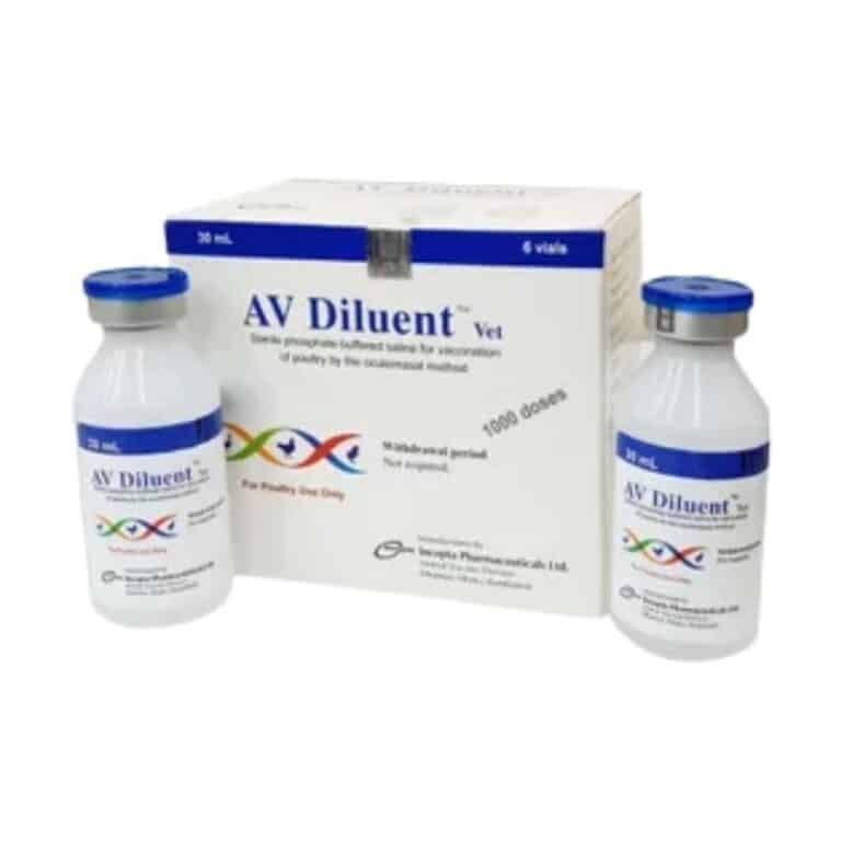 AV Diluent 1000 Doses Vet – V Shop