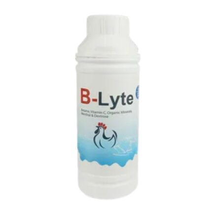 B-Lyte 1000ml