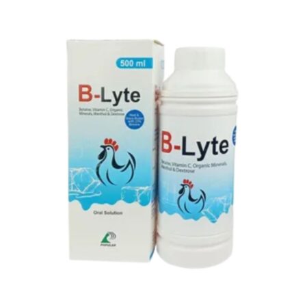 B-Lyte 500ml