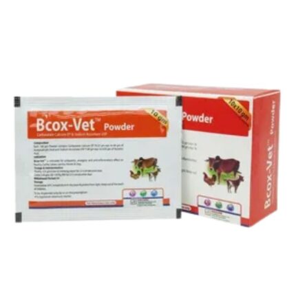 Bcox-Vet Powder 10gm