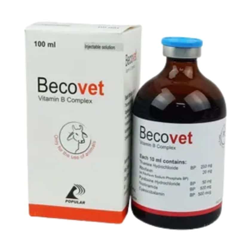 Becovet Injectable Solution 100ml Becovet Injectable Solution 100ml