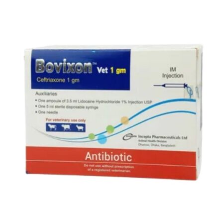 Bovixon Vet 1gm Injection