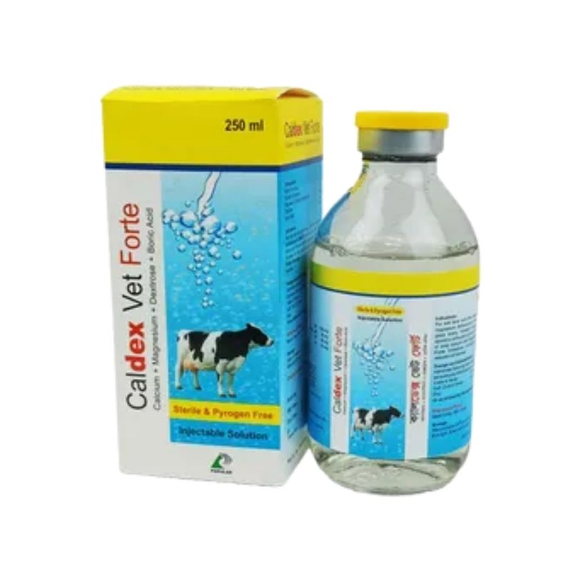 Caldex Vet Forte Injectable Solution 250ml Caldex Vet Forte Injectable Solution 250ml