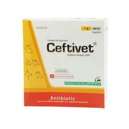 Ceftivet 1gm IM/SC Injection