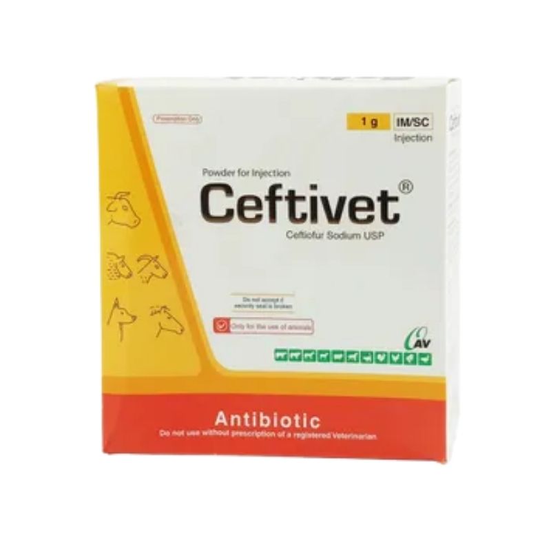 Ceftivet 1gm IM_SC Injection Ceftivet 1gm IM/SC Injection
