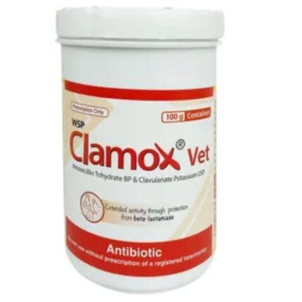 Clamox Vet 100gm