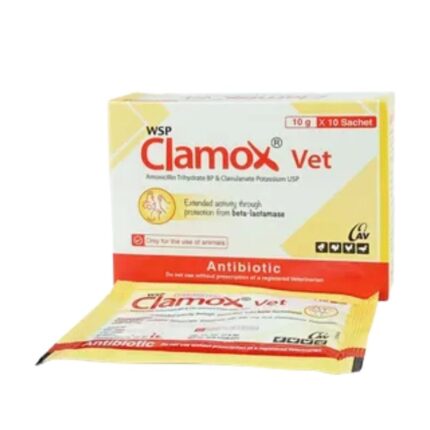 Clamox Vet 10gm