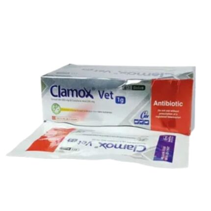 Clamox Vet 1gm
