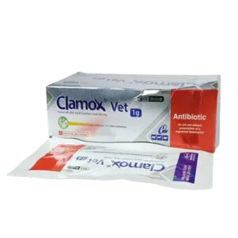 Clamox Vet 1gm Clamox Vet 1gm