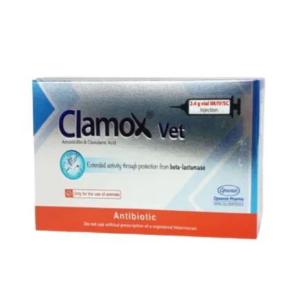 Clamox Vet IM_IV 2.4gm