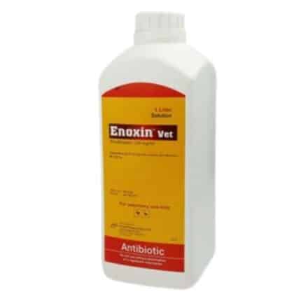 Enoxin Solution Vet 1000ml