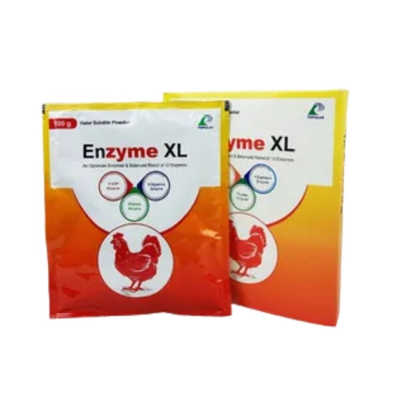 Enzyme XL 100gm Enzyme XL 100gm