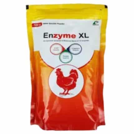 Enzyme XL 500gm