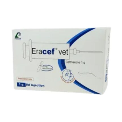 Eracef Vet 1gm IM