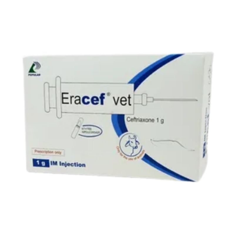 Eracef Vet 1gm IM Eracef Vet 1gm IM