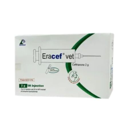 Eracef Vet 2gm IM