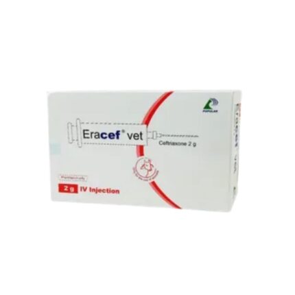 Eracef Vet 2gm IV