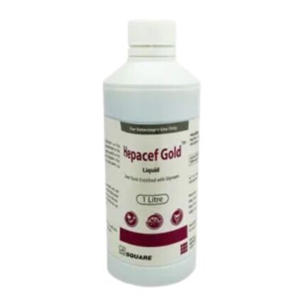 Hepacef Gold Liquid 1000ml