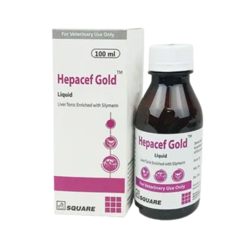 Hepacef Gold Liquid 100ml Hepacef Gold Liquid 100ml