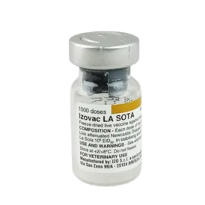 Izovac La Sota Izovac La Sota