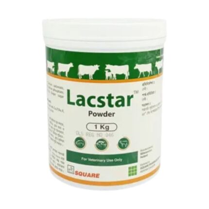Lacstar Powder 1kg
