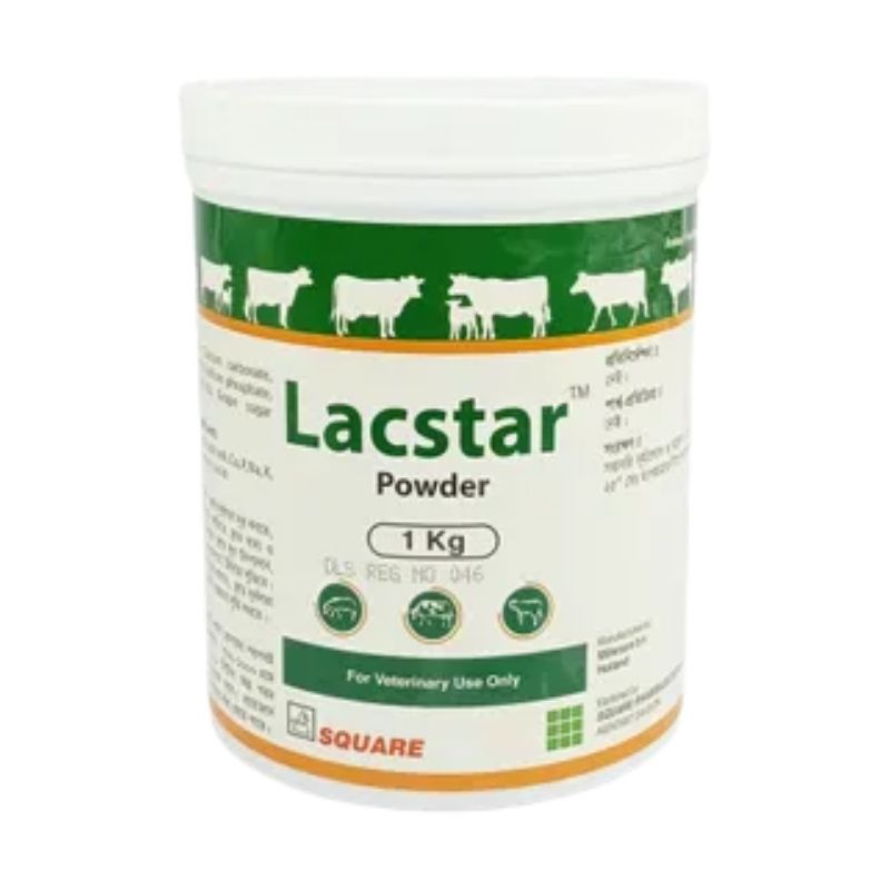 Lacstar Powder 1kg Lacstar Powder 1kg