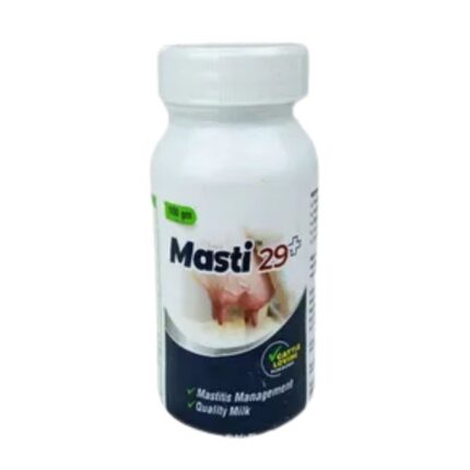 Masti 29+ 100gm