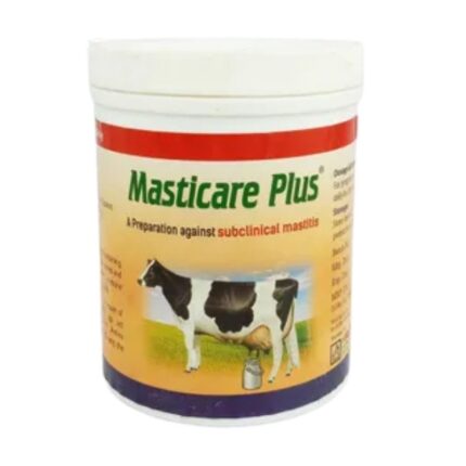 Masticare Plus Powder 500gm