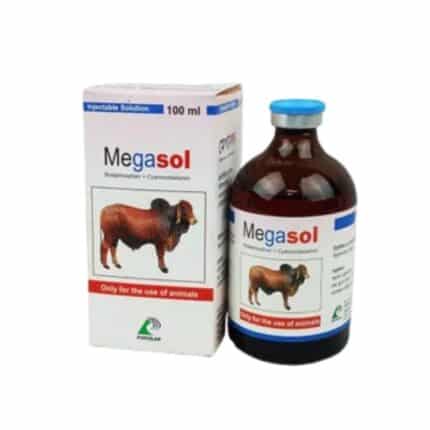 Megasol Injectable Solution 100ml