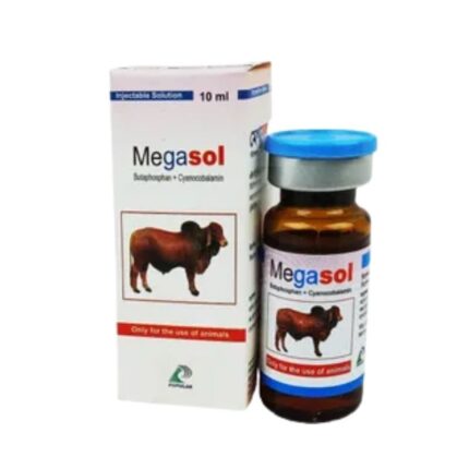 Megasol Injectable Solution 10ml