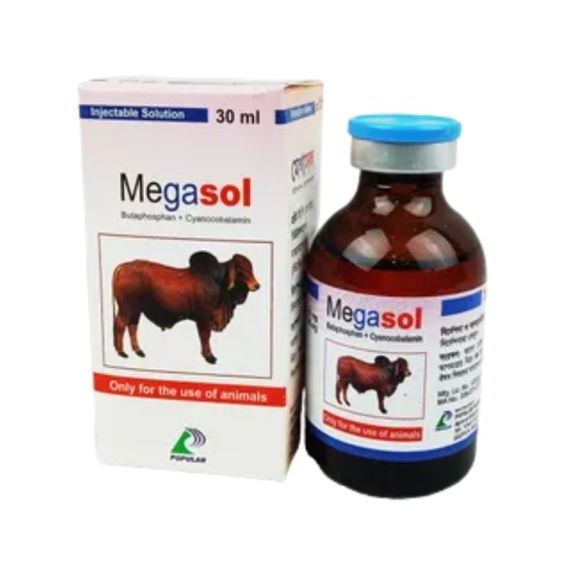Megasol Injectable Solution 30ml Megasol Injectable Solution 30ml