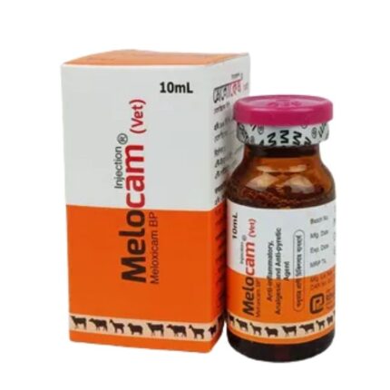 Melocam 10ml (Vet) Injection