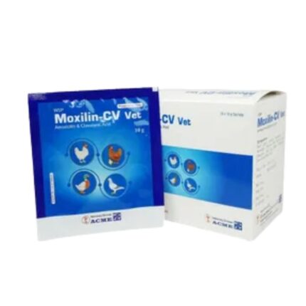 Moxilin-CV Vet