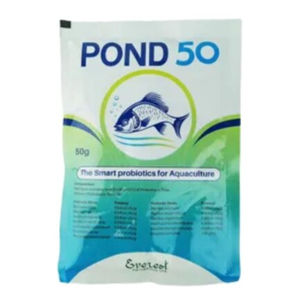 Pond 50