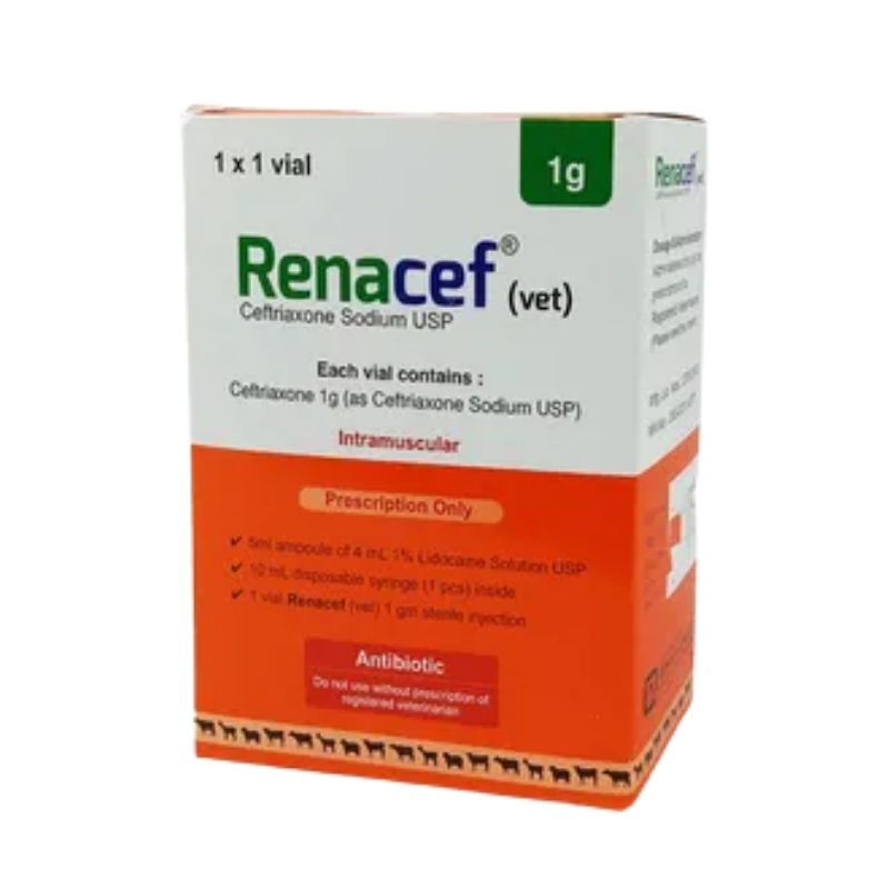 Renacef 1gm (Vet) IM Injection Renacef 1gm (Vet) IM Injection