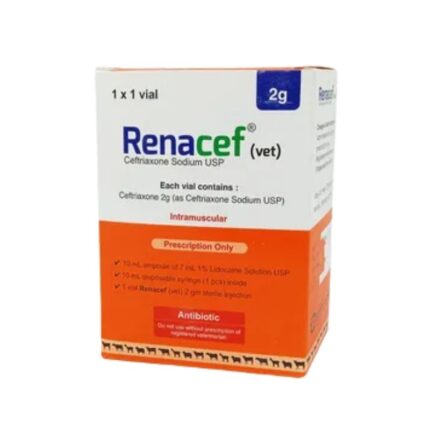 Renacef 2gm (Vet) IM Injection