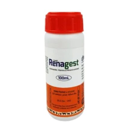 Renagest 100ml (Vet)