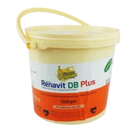 Renavit DB Plus