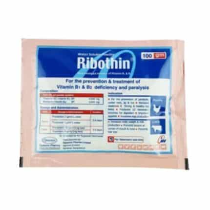 Ribothin 100gm WSP Sachet